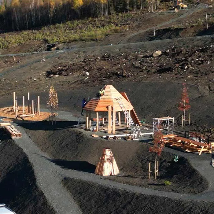 Holåsen Skogn
