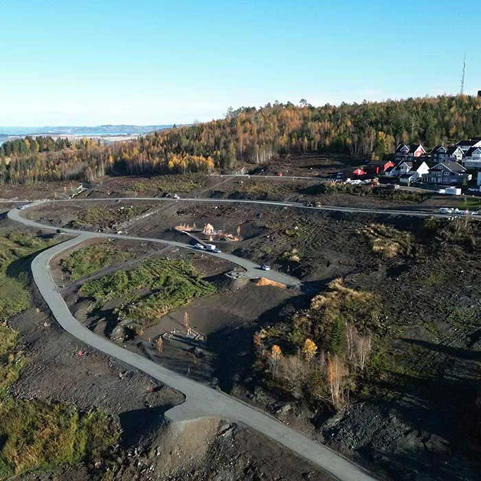 Holåsen Skogn
